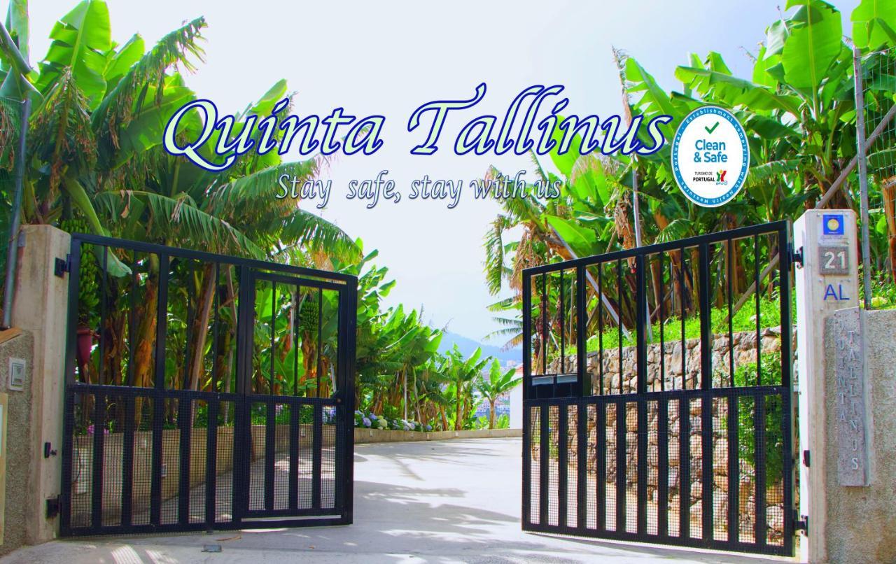 فونشال Quinta Tallinus المظهر الخارجي الصورة